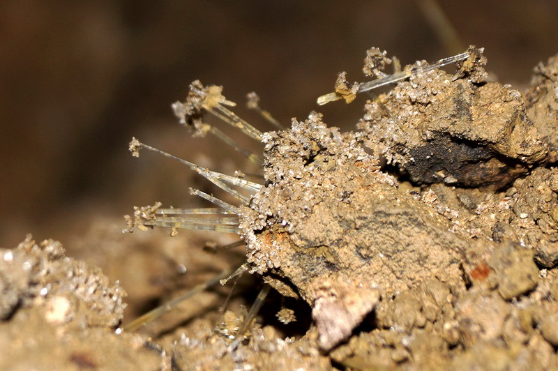 Автор: Виктория Галбур