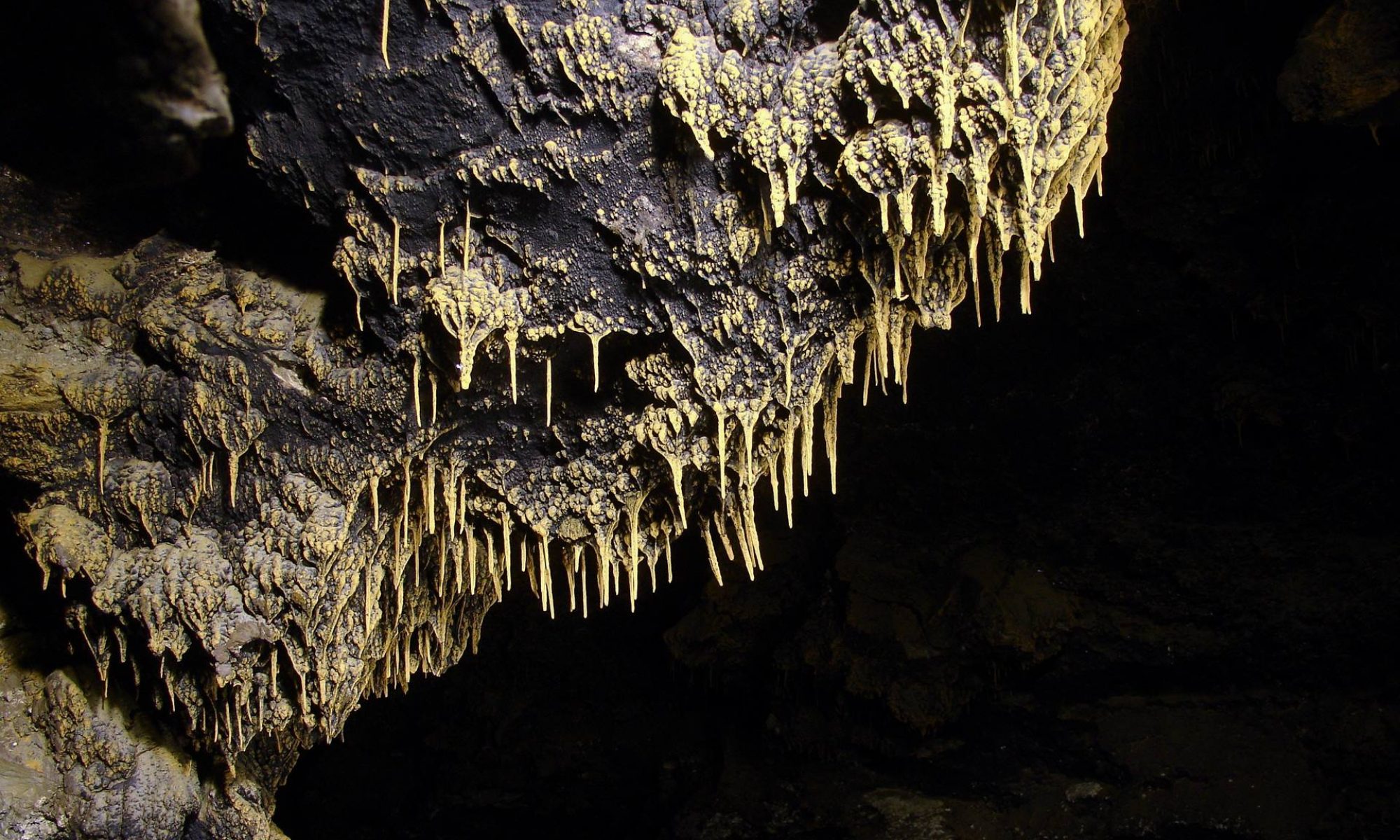 Автор: Олег Климов