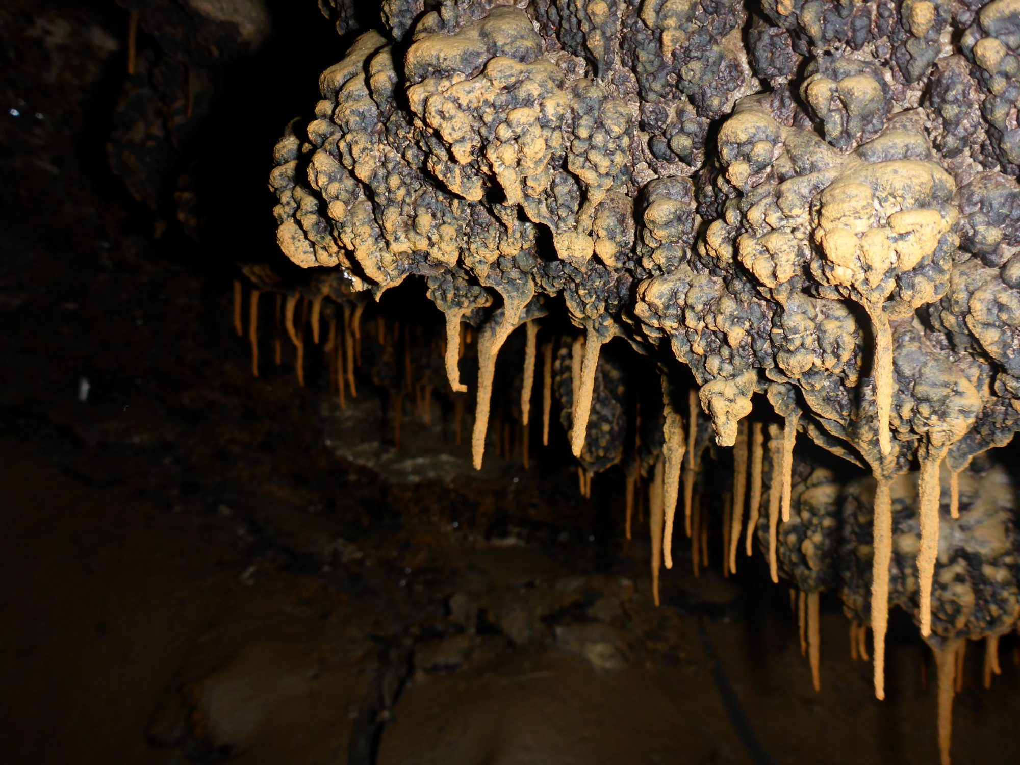 Автор: Виктория Галбур