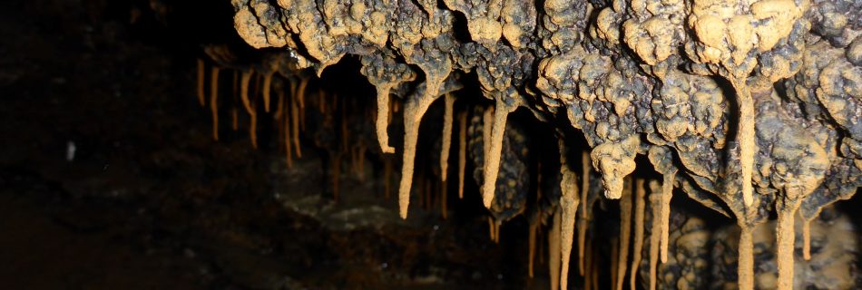 Автор: Виктория Галбур