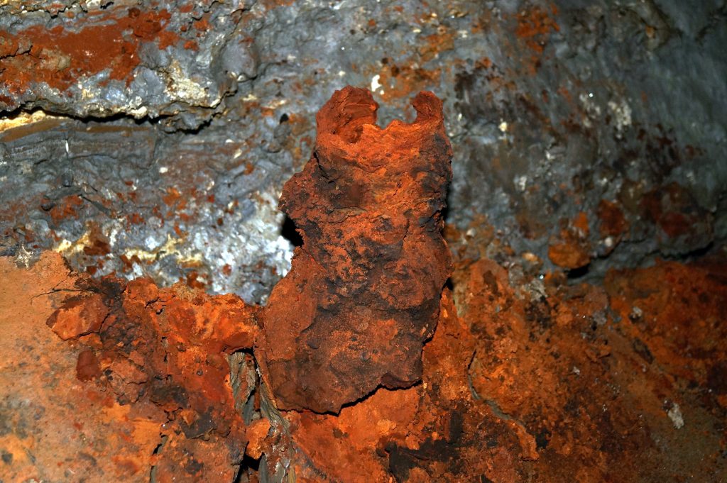 Автор: Виктория Галбур.